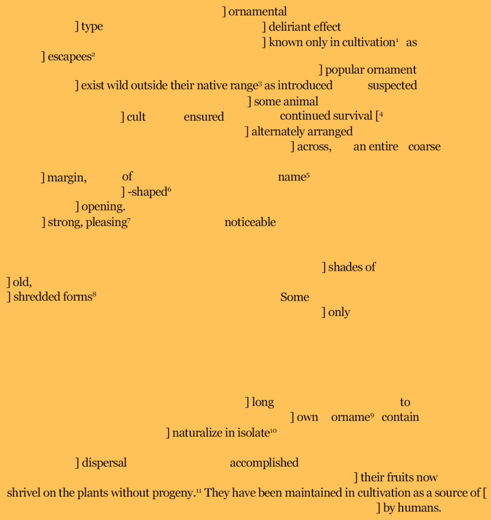 ] type ] deliriant effect
] known only in cultivation1 as
] escapees2
] popular ornament
] exist wild outside their native range3 as introduced suspected
] some animal
] cult ensured continued survival [
4
] alternately arranged
] across, an entire coarse
] margin, of name5
] -shaped6
] opening.
] strong, pleasing7 noticeable
] shades of
] old,
] shredded forms8 Some
] only
] long to
] own orname9 contain
] naturalize in isolate10
] dispersal accomplished
] their fruits now
shrivel on the plants without progeny.
11 They have been maintained in cultivation as a source of [
] by humans.